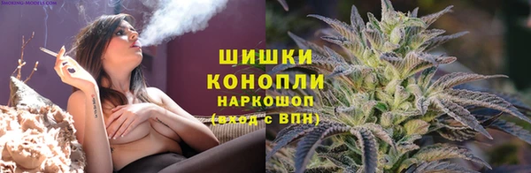 прущие грибы Верея
