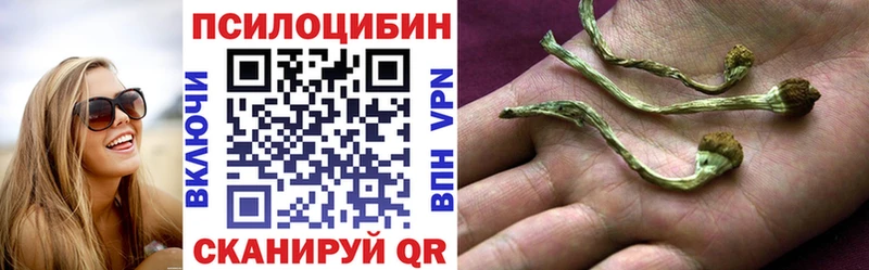 Галлюциногенные грибы Magic Shrooms  даркнет состав  Калачинск 